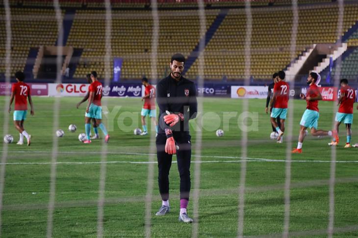 محمد الشناوي